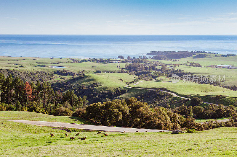 在San Simeon, CA附近起伏的山的景观